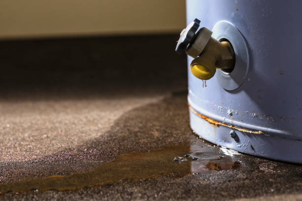 Best Fire Damage Restoration  in Pelahatchie, MS