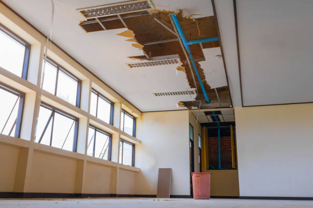 Best Sewage cleanup and water damage restoration  in Pelahatchie, MS