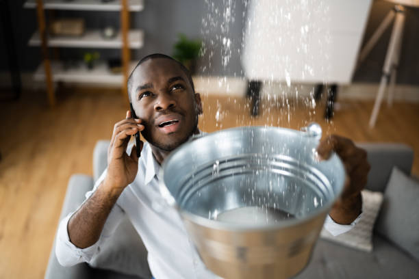 Best Water damage restoration near me  in Pelahatchie, MS