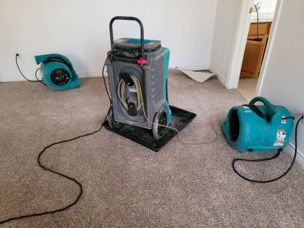 Water damage restoration experts in Pelahatchie, MS