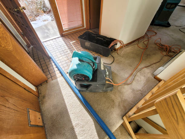 Best Local water damage restoration  in Pelahatchie, MS