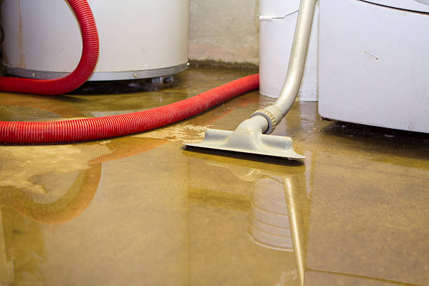 Best Water damage restoration near me  in Pelahatchie, MS