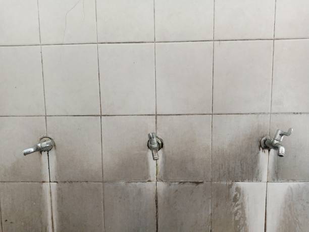 Best Water damage contractors near me  in Pelahatchie, MS