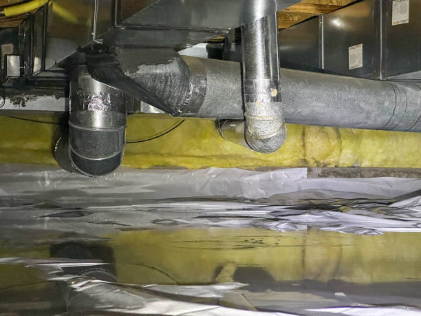 Best Flooded house restoration  in Pelahatchie, MS