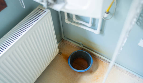 Best Water damage cleanup near me  in Pelahatchie, MS