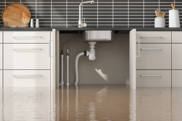 Best Commercial water damage restoration  in Pelahatchie, MS