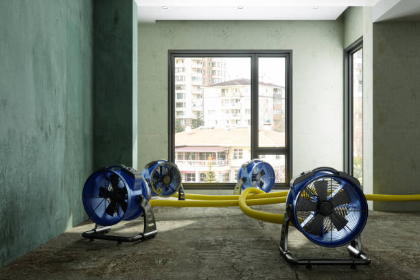 Water damage restoration process in Pelahatchie, MS